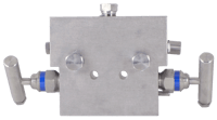 PGI Int'l Five-Valve Manifold